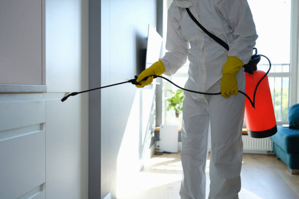 Planada, CA Mold Removal Company